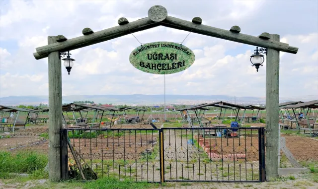 Sivas’tan kısa kısa Sivas’tan kısa kısa