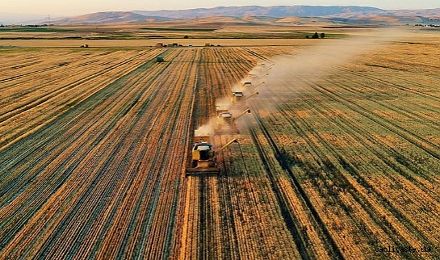 Tarımsal destek ödemesi bugün yapılacak Tarımsal destek ödemesi bugün yapılacak