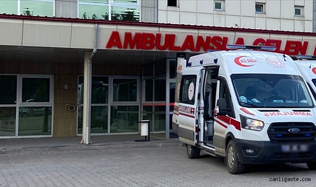 Yolcu otobüsü ile hafif ticari araç çarpıştı: 1 ölü Yolcu otobüsü ile hafif ticari araç çarpıştı: 1 ölü