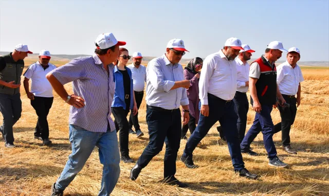 AK Parti Eskişehir Milletvekili Dönmez, buğday hasadına katıldı AK Parti Eskişehir Milletvekili Dönmez, buğday hasadına katıldı