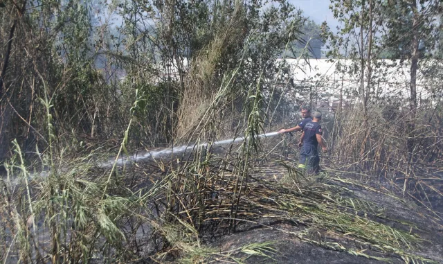 Antalya’da sazlık alanda çıkan yangın söndürüldü Antalya’da sazlık alanda çıkan yangın söndürüldü