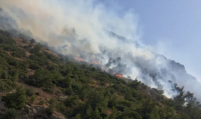 Aydın’ın Söke ilçesinde orman ve makilik alanda yangın çıktı Aydın’ın Söke ilçesinde orman ve makilik alanda yangın çıktı