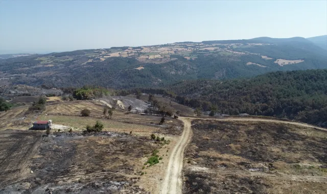 Çanakkale’deki orman yangınında 2 bin 500 hektar alanın zarar gördüğü belirlendi Çanakkale’deki orman yangınında 2 bin 500 hektar alanın zarar gördüğü belirlendi