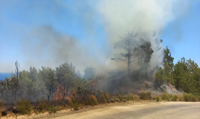 Hatay’da çıkan orman yangını söndürüldü Hatay’da çıkan orman yangını söndürüldü