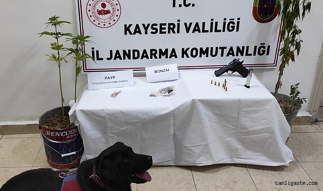 Kayseri’de saksıda kenevir yetiştiren şüpheli yakalandı Kayseri’de saksıda kenevir yetiştiren şüpheli yakalandı