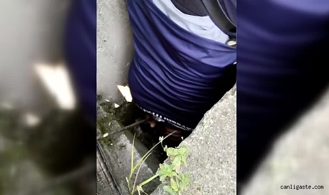 Kayseri’de yanan arazide mahsur kalan kaplumbağalara itfaiye operasyonu Kayseri’de yanan arazide mahsur kalan kaplumbağalara itfaiye operasyonu