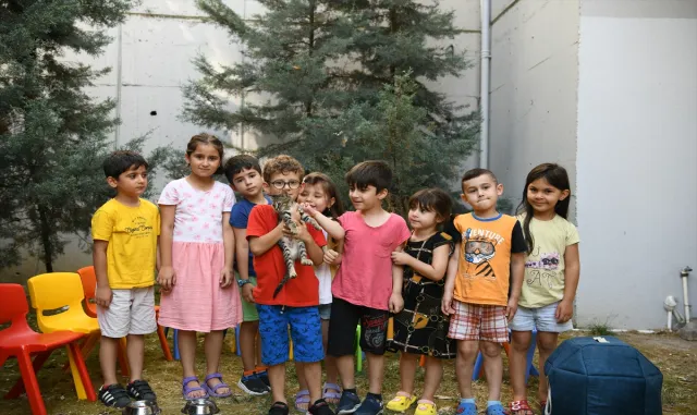 Kocaeli’de belediyenin sahiplendiği kedi "Kahve"nin 7 yavrusu çocuklara emanet Kocaeli’de belediyenin sahiplendiği kedi "Kahve"nin 7 yavrusu çocuklara emanet