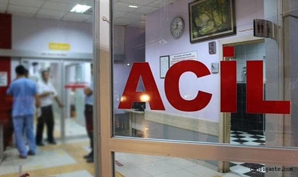 Köpeğin ısırdığı genç mimar yaşamını yitirdi Köpeğin ısırdığı genç mimar yaşamını yitirdi