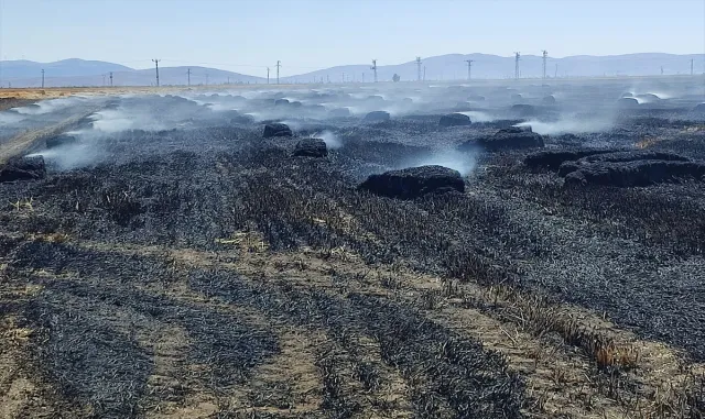 Afyonkarahisar’da 65 dekarlık tarım arazisi yangında zarar gördü Afyonkarahisar’da 65 dekarlık tarım arazisi yangında zarar gördü