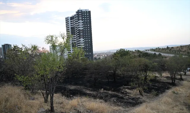 Ankara’da ağaçlık alanda çıkan yangın söndürüldü Ankara’da ağaçlık alanda çıkan yangın söndürüldü