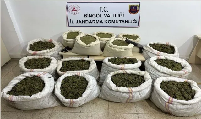 Bingöl’de 11 milyon 282 bin 574 kök Hint keneviri ele geçirildi Bingöl’de 11 milyon 282 bin 574 kök Hint keneviri ele geçirildi