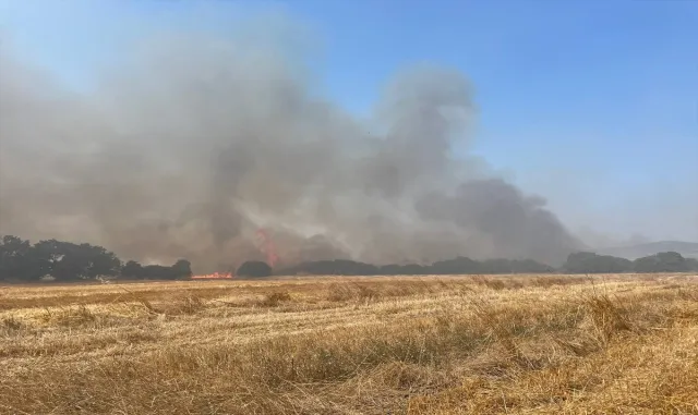 Çanakkale’de ağaçlık alanda yangın çıktı Çanakkale’de ağaçlık alanda yangın çıktı