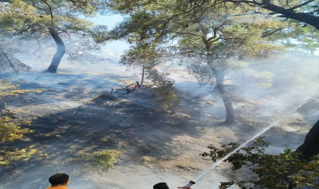 GÜNCELLEME - Balıkesir’in Burhaniye ilçesinde çıkan orman yangını kontrol altına alındı GÜNCELLEME - Balıkesir’in Burhaniye ilçesinde çıkan orman yangını kontrol altına alındı