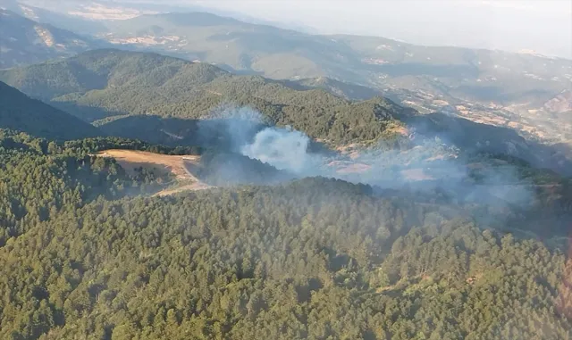 GÜNCELLEME - Balıkesir İvrindi’de çıkan orman yangını kontrol altına alındı GÜNCELLEME - Balıkesir İvrindi’de çıkan orman yangını kontrol altına alındı