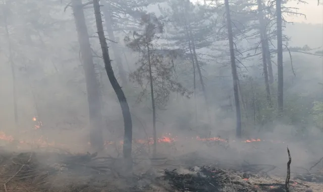 GÜNCELLEME - Bolu’da çıkan orman yangınına müdahale ediliyor GÜNCELLEME - Bolu’da çıkan orman yangınına müdahale ediliyor