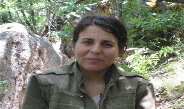 GÜNCELLEME - Gri kategoride aranan PKK’lı terörist Bitlis’te etkisiz hale getirildi GÜNCELLEME - Gri kategoride aranan PKK’lı terörist Bitlis’te etkisiz hale getirildi