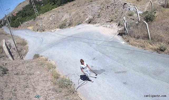 Kayseri’de fotokapan kablo hırsızlarını yakaladı Kayseri’de fotokapan kablo hırsızlarını yakaladı