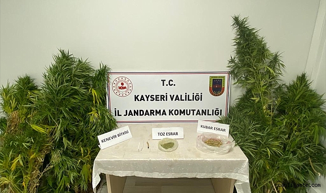 Kayseri Sarıoğlan’da evinde Hint keneviri yetiştiren kişi yakalandı Kayseri Sarıoğlan’da evinde Hint keneviri yetiştiren kişi yakalandı