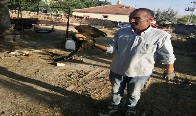 Kırşehir’de doğada bulunan yaralı saz delicesi kuşu tedaviye alındı Kırşehir’de doğada bulunan yaralı saz delicesi kuşu tedaviye alındı