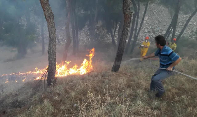 Sinop’ta çıkan orman yangını söndürüldü Sinop’ta çıkan orman yangını söndürüldü