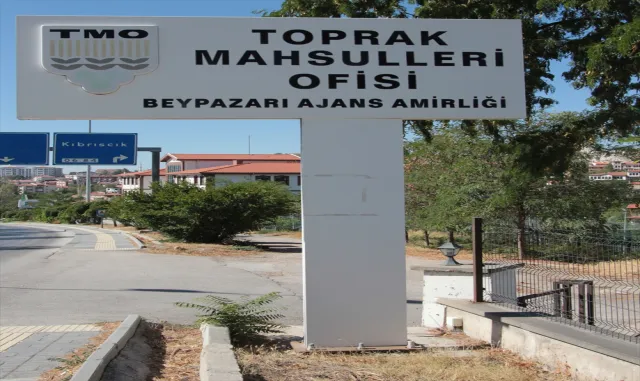 Beypazarı TMO 100 bin ton hububat alımı gerçekleştirdi Beypazarı TMO 100 bin ton hububat alımı gerçekleştirdi