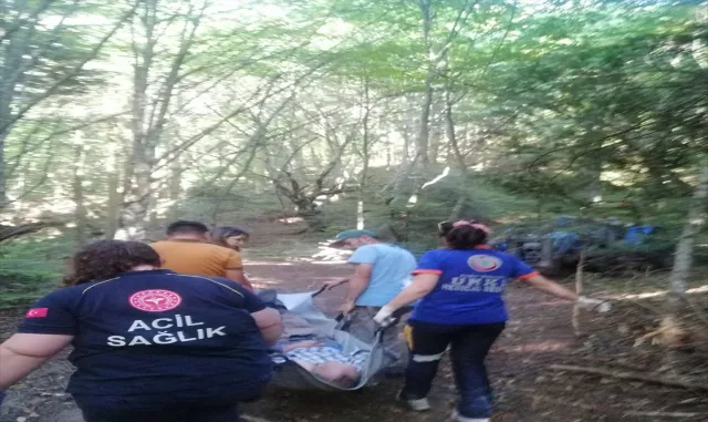 Bolu’da ormanda rahatsızlanan kişi ambulansa sedyeyle 1 kilometre taşındı Bolu’da ormanda rahatsızlanan kişi ambulansa sedyeyle 1 kilometre taşındı