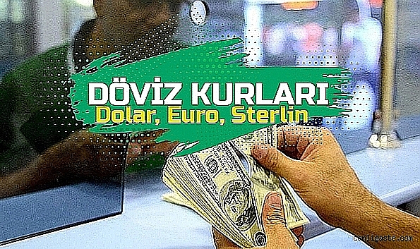 Dolar kaç lira? Euro ne kadar? Sterlin Kaç TL? (11 Eylül 2023 döviz kurları) Dolar kaç lira? Euro ne kadar? Sterlin Kaç TL? (11 Eylül 2023 döviz kurları)