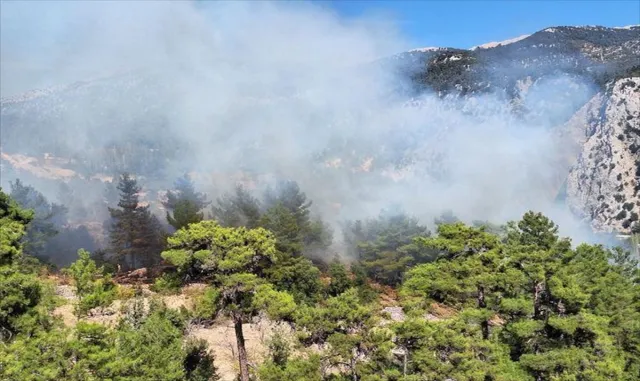 GÜNCELLEME - Antalya’nın Kaş ilçesinde çıkan orman yangını söndürüldü GÜNCELLEME - Antalya’nın Kaş ilçesinde çıkan orman yangını söndürüldü