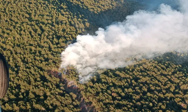 GÜNCELLEME - Hatay’da çıkan orman yangını kontrol altına alındı GÜNCELLEME - Hatay’da çıkan orman yangını kontrol altına alındı