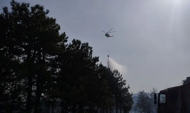 GÜNCELLEME - Kocaeli’de ormanlık alanda çıkan yangın kontrol altına alındı GÜNCELLEME - Kocaeli’de ormanlık alanda çıkan yangın kontrol altına alındı
