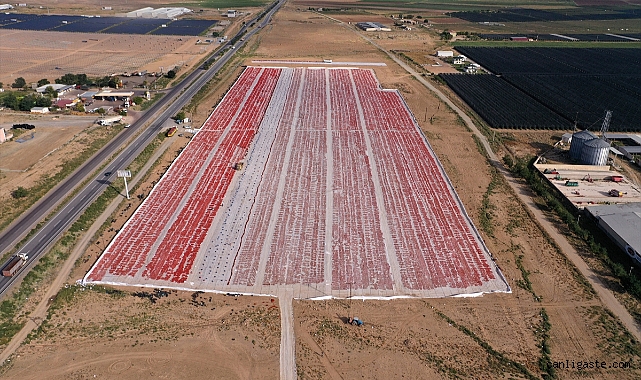 Kayserili 3 arkadaş kuru domateste 500 ton ihracat hedefliyor... Kayserili 3 arkadaş kuru domateste 500 ton ihracat hedefliyor...