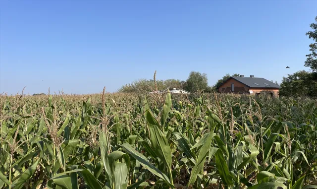 Polonyalı çiftçiler, Ukrayna tahılının ülkelerine girişine ilişkin kararı endişeyle bekliyor Polonyalı çiftçiler, Ukrayna tahılının ülkelerine girişine ilişkin kararı endişeyle bekliyor