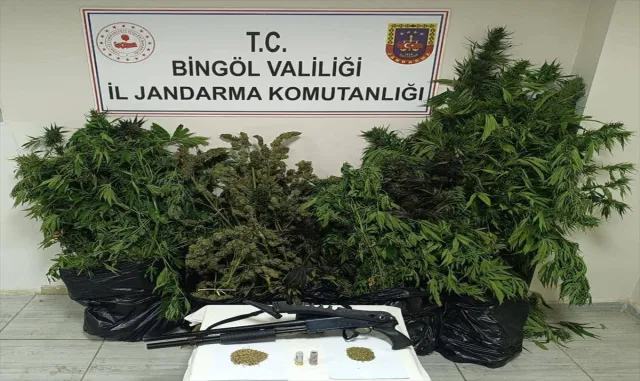 Bingöl’de 50 kilo 998 gram esrar ele geçirildi Bingöl’de 50 kilo 998 gram esrar ele geçirildi