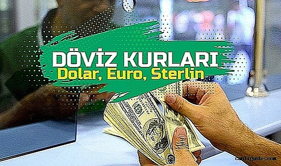 DÖVİZ: Dolar kaç lira? Euro ne kadar? Sterlin Kaç TL? (2 Ekim 2023) DÖVİZ: Dolar kaç lira? Euro ne kadar? Sterlin Kaç TL? (2 Ekim 2023)