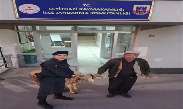 Çalınan küçükbaş hayvanı sosyal medyadan satışa koyan 2 şüpheli yakalandı Çalınan küçükbaş hayvanı sosyal medyadan satışa koyan 2 şüpheli yakalandı