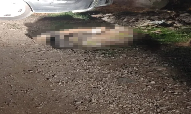 GÜNCELLEME - Hatay’da kayıp olarak aranan kadının öldürüldüğü belirlendi GÜNCELLEME - Hatay’da kayıp olarak aranan kadının öldürüldüğü belirlendi