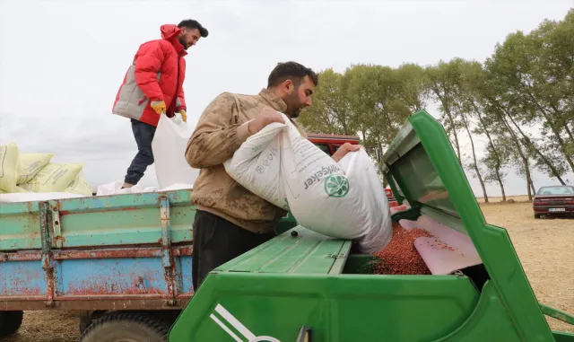 Yozgat’ta buğday ve arpa tohumları toprakla buluşturuluyor Yozgat’ta buğday ve arpa tohumları toprakla buluşturuluyor