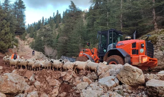 Adana’da yağış nedeniyle yaylada mahsur kalan 11 çoban ve hayvanları kurtarıldı Adana’da yağış nedeniyle yaylada mahsur kalan 11 çoban ve hayvanları kurtarıldı
