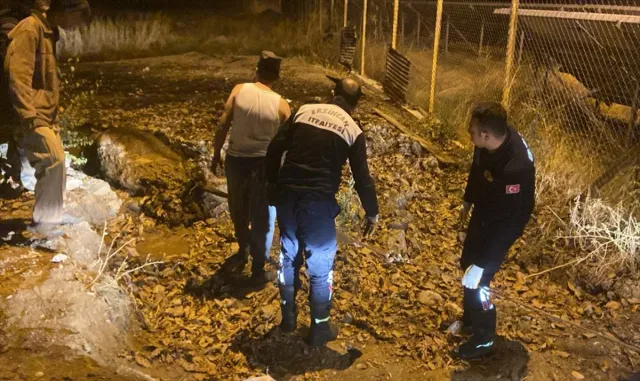 Erzincan’da gübre yığınına batan inek itfaiye ekiplerince kurtarıldı Erzincan’da gübre yığınına batan inek itfaiye ekiplerince kurtarıldı