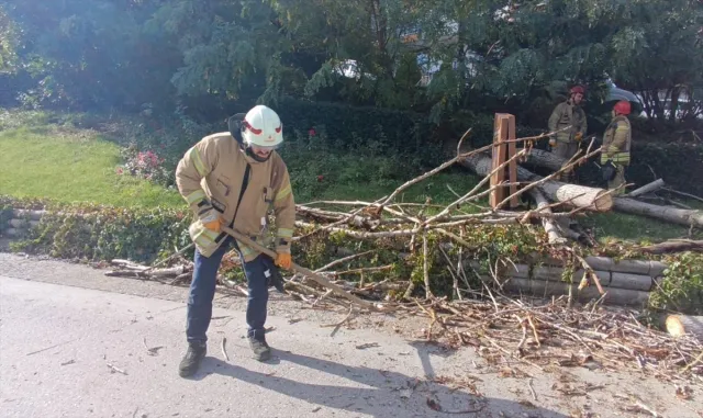 Otoyola devrilen ağaç, trafiğin aksamasına neden oldu Otoyola devrilen ağaç, trafiğin aksamasına neden oldu