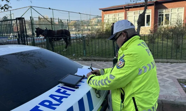 Edirne’de arabaya koşulu at, 5 araca çarptı Edirne’de arabaya koşulu at, 5 araca çarptı