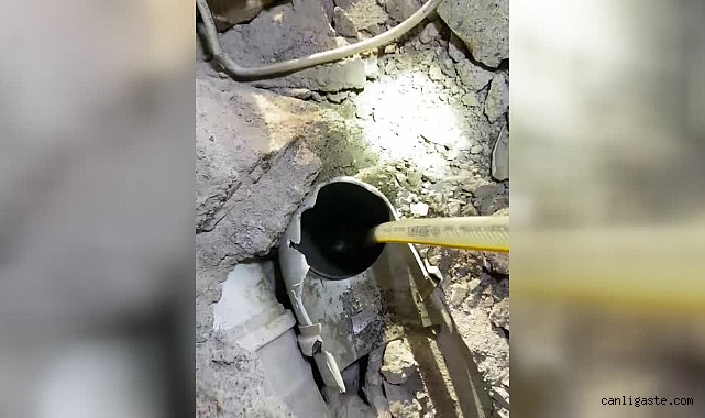 Kayseri itfaiyesinden kedi yavrusu operasyonu Kayseri itfaiyesinden kedi yavrusu operasyonu
