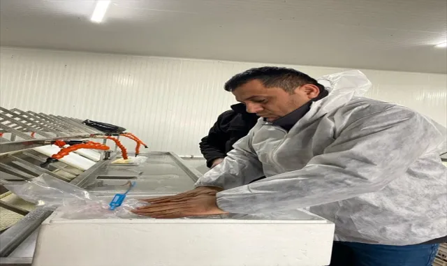 Beyşehir gölünde denetimler aralıksız sürüyor Beyşehir gölünde denetimler aralıksız sürüyor
