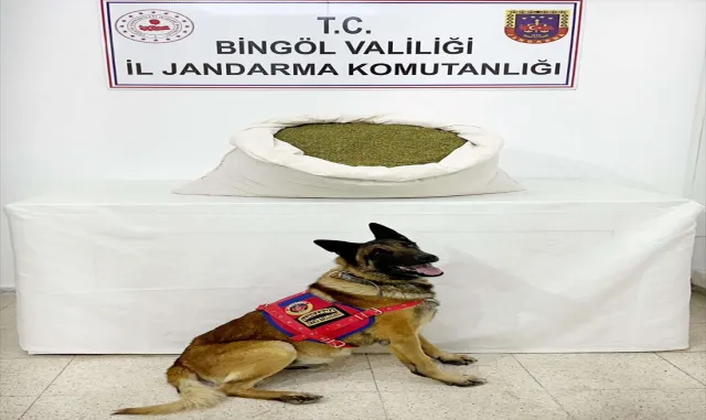 Bingöl’de 18 kilo 500 gram esrar ele geçirildi Bingöl’de 18 kilo 500 gram esrar ele geçirildi