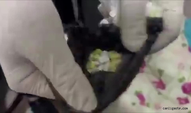 Kayseri’de kaldırım taşı altında uyuşturucu ticareti! 2 şüpheli yakalandı Kayseri’de kaldırım taşı altında uyuşturucu ticareti! 2 şüpheli yakalandı