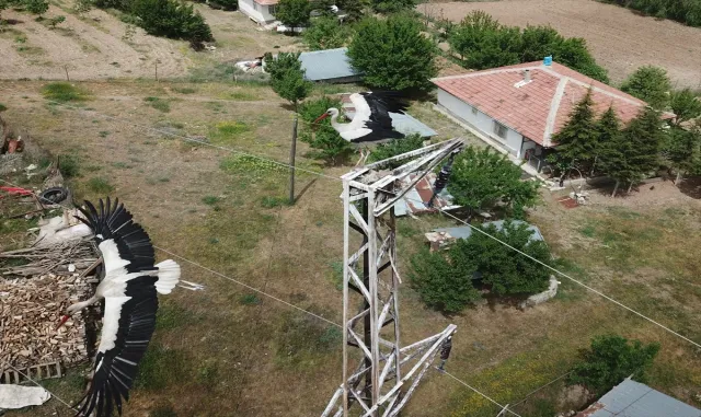 Kırıkkale’de leylekler jandarma tarafından korunuyor Kırıkkale’de leylekler jandarma tarafından korunuyor