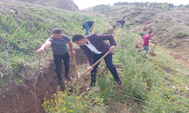 Zara’da Alparslan Türkeş Meyve Bahçesi kuruldu Zara’da Alparslan Türkeş Meyve Bahçesi kuruldu