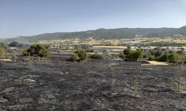 GÜNCELLEME - Manisa Demirci’de ormana sıçrayan yangın kontrol altına alındı GÜNCELLEME - Manisa Demirci’de ormana sıçrayan yangın kontrol altına alındı