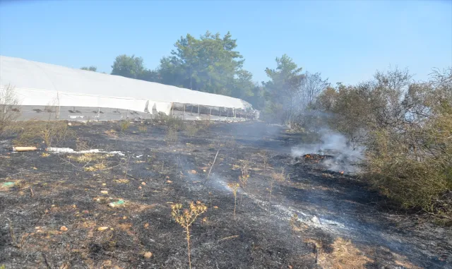 Antalya’da otluk alanda başlayan yangın ormana ve seralara sıçradı Antalya’da otluk alanda başlayan yangın ormana ve seralara sıçradı