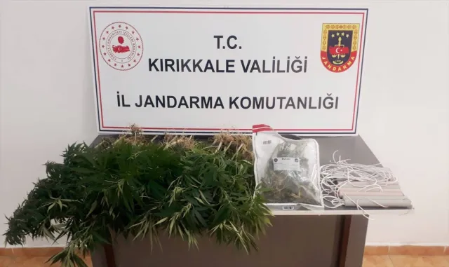 Kırıkkale’de uyuşturucu operasyonunda 67 kök kenevir ele geçirildi Kırıkkale’de uyuşturucu operasyonunda 67 kök kenevir ele geçirildi